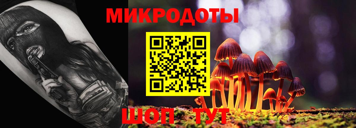 Псилоцибиновые грибы прущие грибы Мытищи